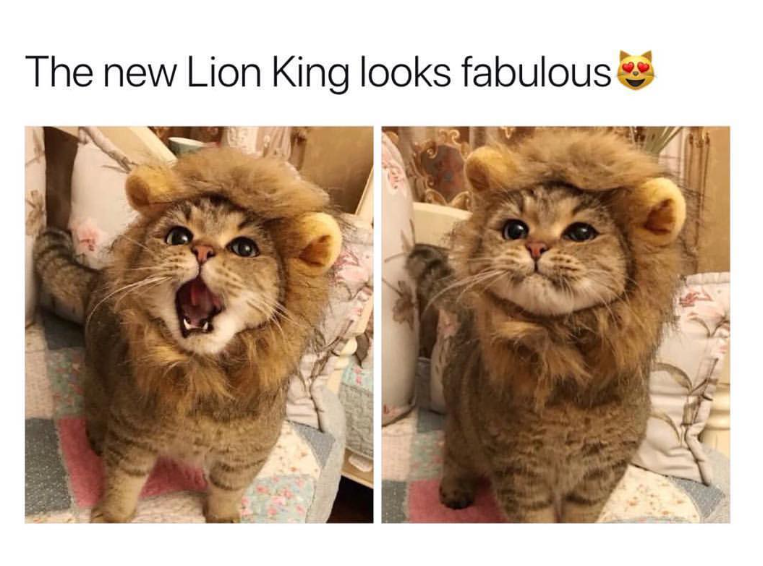 The new Lion King looks fabulous