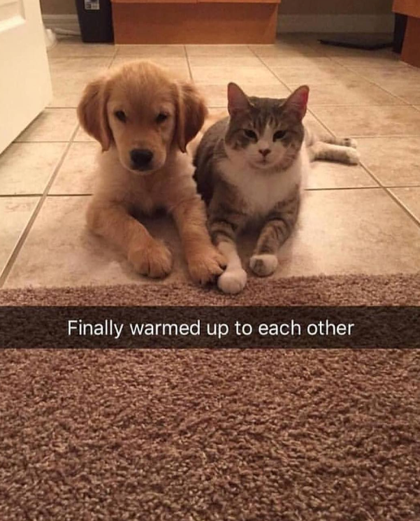 Finally warmed up to each other