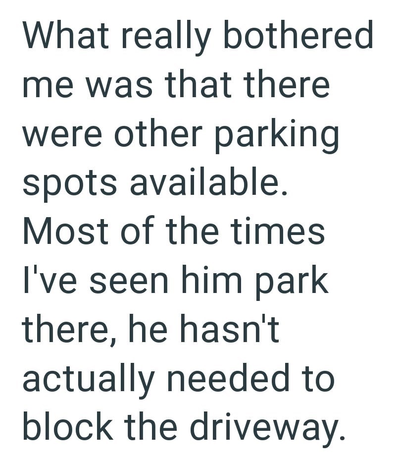 What really bothered me was that there were other parking spots available. Most of the times I've seen him park there, he hasn't actually needed to block the driveway.