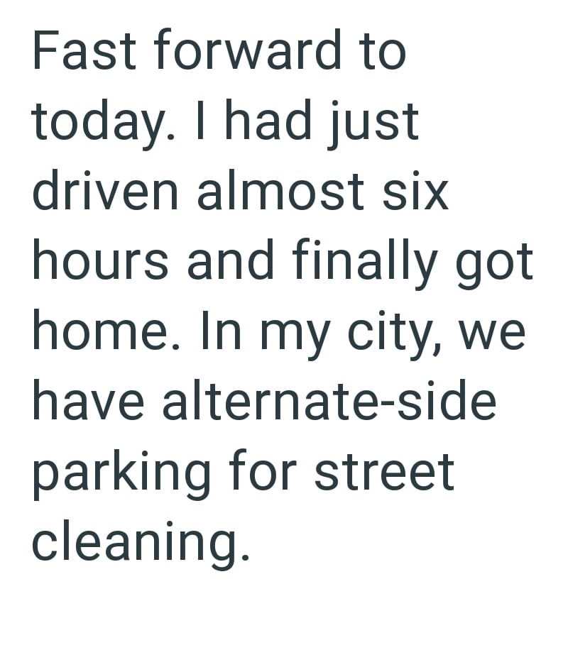 Fast forward to today. I had just driven almost six hours and finally got home. In my city, we have alternate-side parking for street cleaning.