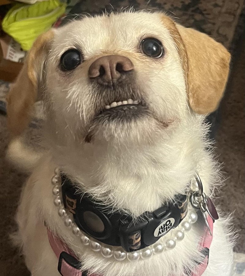 BRY