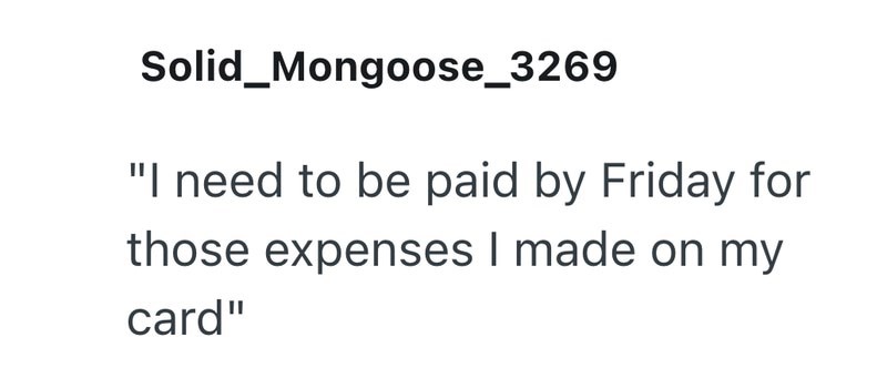 Solid_Mongoose_3269 "I need to be paid by Friday for those expenses I made on my card"