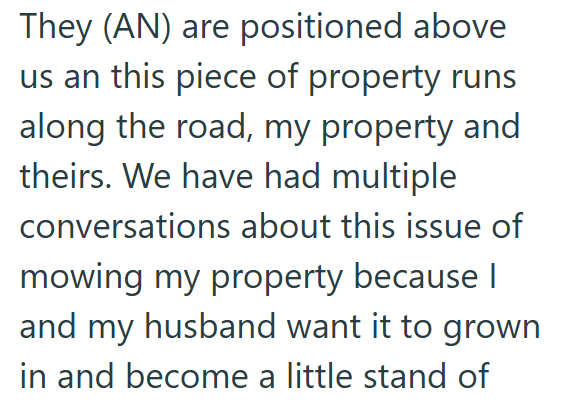 They (AN) are positioned above us an this piece of property runs along the road, my property and theirs. We have had multiple conversations about this issue of mowing my property because I and my husband want it to grown in and become a little stand of