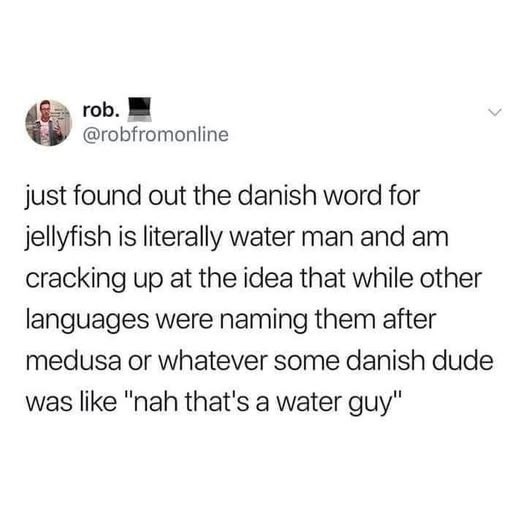 rob. @robfromonline just found out the danish word for jellyfish is literally water man and am cracking up at the idea that while other languages were naming them after medusa or whatever some danish dude was like "nah that's a water guy" >