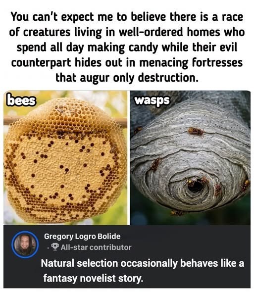 You can't expect me to believe there is a race of creatures living in well-ordered homes who spend all day making candy while their evil counterpart hides out in menacing fortresses that augur only destruction. bees wasps Gregory Logro Bolide .All-star contributor Natural selection occasionally behaves like a fantasy novelist story.
