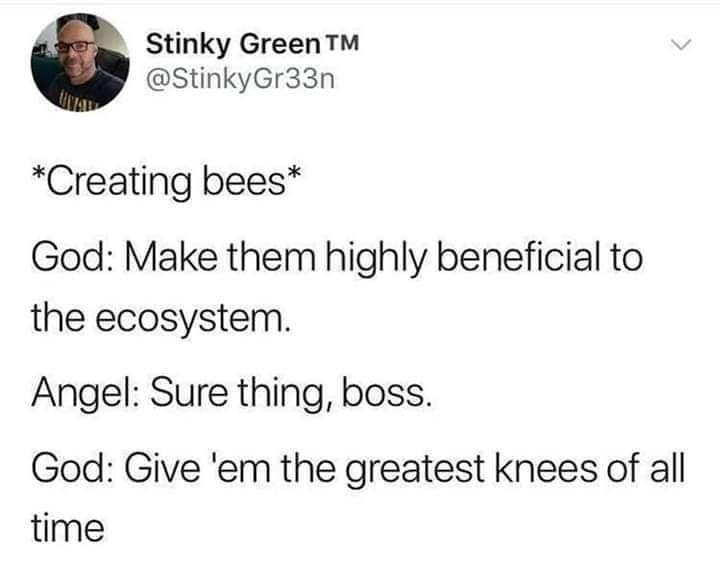 Stinky Green T @StinkyGr33n *Creating bees* God: Make them highly beneficial to the ecosystem. Angel: Sure thing, boss. God: Give 'em the greatest knees of all time