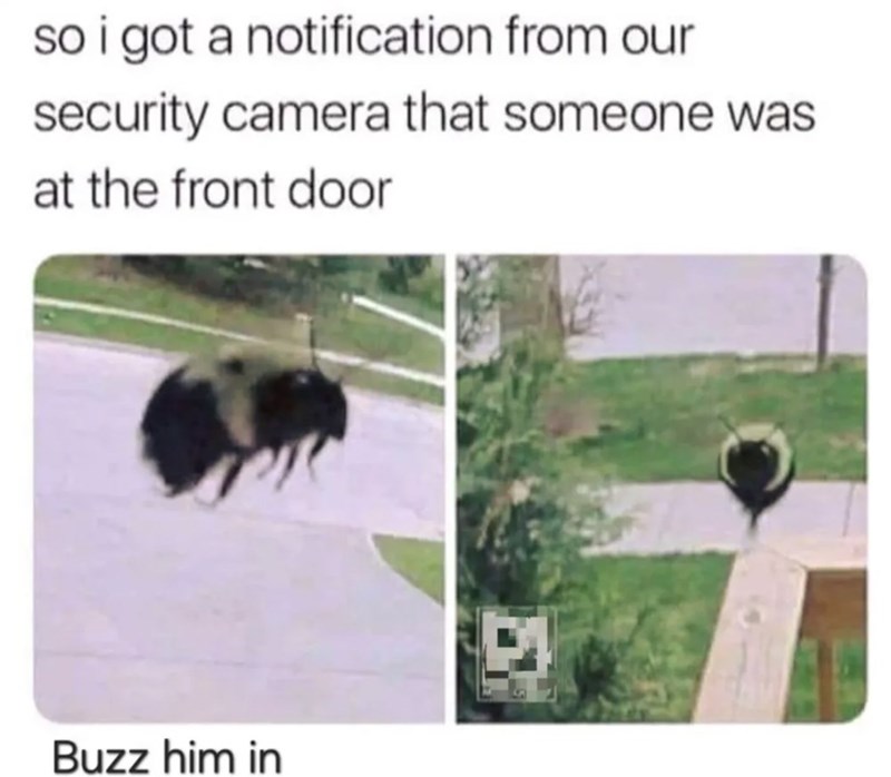 so i got a notification from our security camera that someone was at the front door Buzz him in