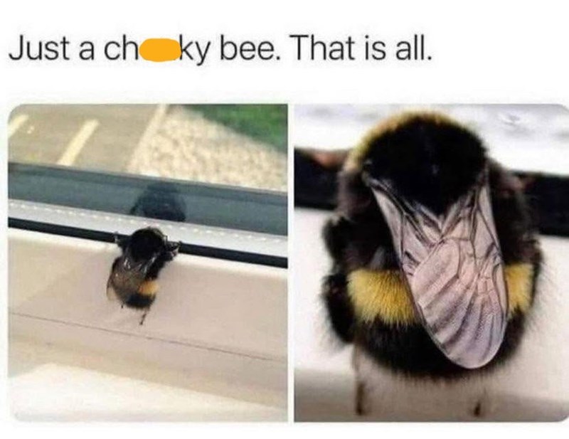 Just a ch ky bee. That is all.