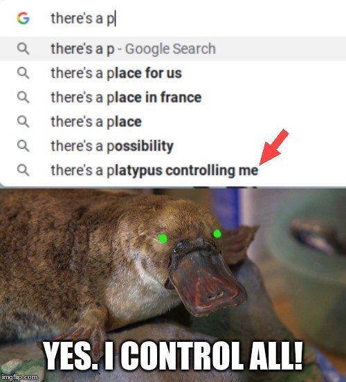 G there's a pl Q there's a p- Google Search Q there's a place for us Q there's a place in france a there's a place Qthere's a possibility Qthere's a platypus controlling me imgflip.com YES. I CONTROL ALL!