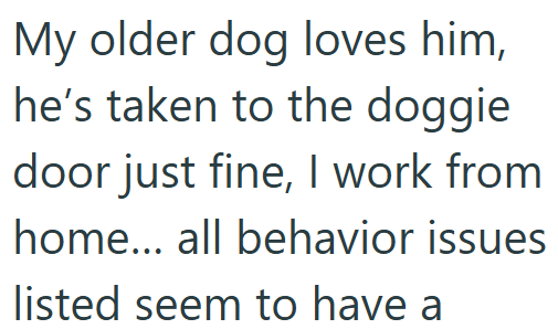 My older dog loves him, he's taken to the doggie door just fine, I work from home... all behavior issues listed seem to have a