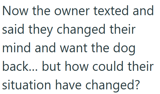 Now the owner texted and said they changed their mind and want the dog back... but how could their situation have changed?