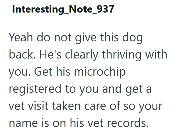 Interesting Note_937 Yeah do not give this dog back. He's clearly thriving with you. Get his microchip registered to you and get a vet visit taken care of so your name is on his vet records.