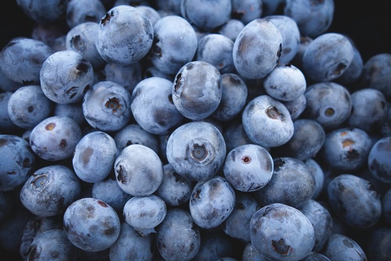 Fresh blueberries on display.