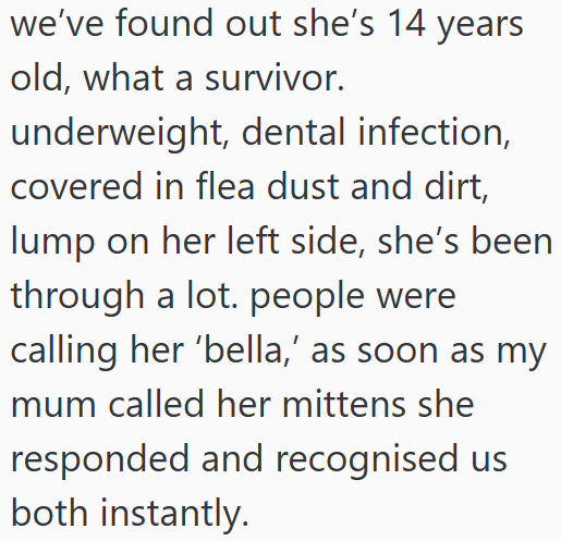 we've found out she's 14 years old, what a survivor. underweight, dental infection, covered in flea dust and dirt, lump on her left side, she's been through a lot. people were calling her 'bella,' as soon as my mum called her mittens she responded and recognised us both instantly.