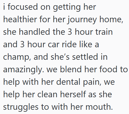 i focused on getting her healthier for her journey home, she handled the 3 hour train and 3 hour car ride like a champ, and she's settled in amazingly, we blend her food to help with her dental pain, we help her clean herself as she struggles to with her mouth.