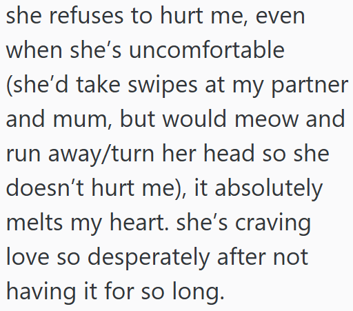 she refuses to hurt me, even when she's uncomfortable (she'd take swipes at my partner and mum, but would meow and run away/turn her head so she doesn't hurt me), it absolutely melts my heart. she's craving love so desperately after not having it for so long.