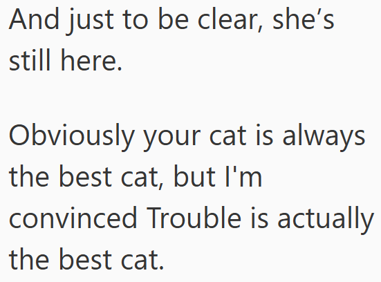 And just to be clear, she's still here. Obviously your cat is always the best cat, but I'm convinced Trouble is actually the best cat.