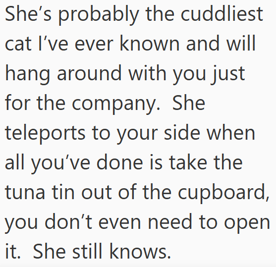 She's probably the cuddliest cat I've ever known and will hang around with you just for the company. She teleports to your side when all you've done is take the tuna tin out of the cupboard, you don't even need to open it. She still knows.