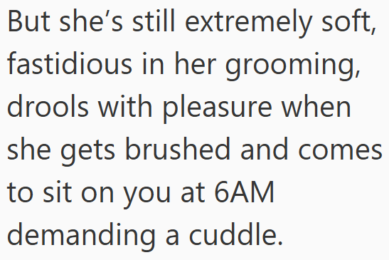But she's still extremely soft, fastidious in her grooming, drools with pleasure when she gets brushed and comes to sit on you at 6AM demanding a cuddle.