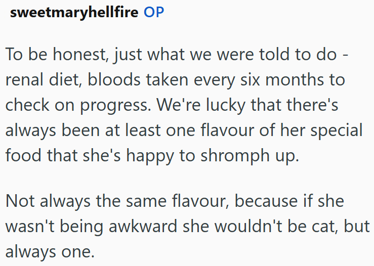 sweetmaryhellfire OP To be honest, just what we were told to do - renal diet, bloods taken every six months to check on progress. We're lucky that there's always been at least one flavour of her special food that she's happy to shromph up. Not always the same flavour, because if she wasn't being awkward she wouldn't be cat, but always one.