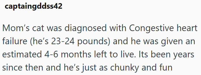captaingddss42 Mom's cat was diagnosed with Congestive heart failure (he's 23-24 pounds) and he was given an estimated 4-6 months left to live. Its been years since then and he's just as chunky and fun