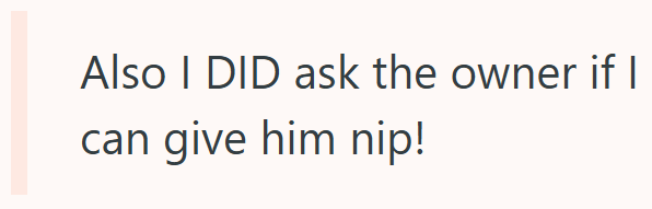 Also I DID ask the owner if I can give him nip!