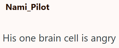 Nami_Pilot His one brain cell is angry