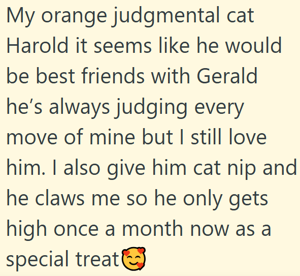 My orange judgmental cat Harold it seems like he would be best friends with Gerald he's always judging every move of mine but I still love him. I also give him cat nip and he claws me so he only gets high once a month now as a special treat