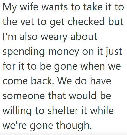 My wife wants to take it to the vet to get checked but I'm also weary about spending money on it just for it to be gone when we come back. We do have someone that would be willing to shelter it while we're gone though.