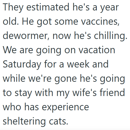 They estimated he's a year old. He got some vaccines, dewormer, now he's chilling. We are going on vacation Saturday for a week and while we're gone he's going to stay with my wife's friend who has experience sheltering cats.