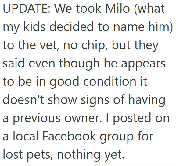 UPDATE: We took Milo (what my kids decided to name him) to the vet, no chip, but they said even though he appears to be in good condition it doesn't show signs of having a previous owner. I posted on a local Facebook group for lost pets, nothing yet.