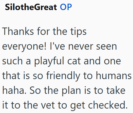 SilotheGreat OP Thanks for the tips everyone! I've never seen such a playful cat and one that is so friendly to humans haha. So the plan is to take it to the vet to get checked.