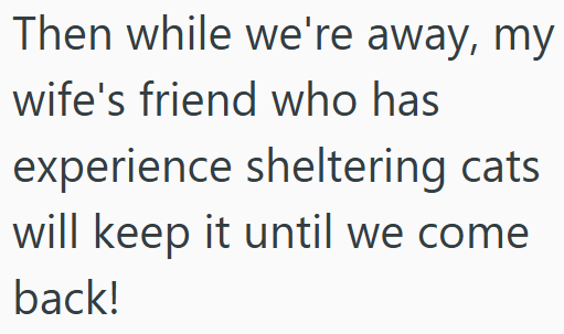Then while we're away, my wife's friend who has experience sheltering cats will keep it until we come back!