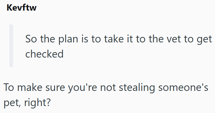 Kevftw So the plan is to take it to the vet to get checked To make sure you're not stealing someone's pet, right?