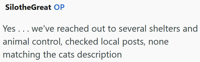 SilotheGreat OP Yes... we've reached out to several shelters and animal control, checked local posts, none matching the cats description