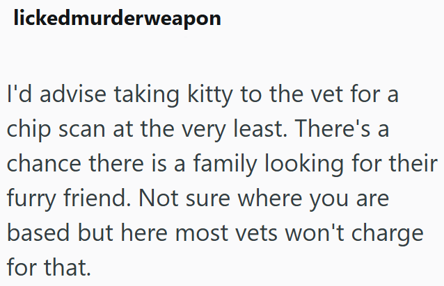 lickedmurderweapon I'd advise taking kitty to the vet for a chip scan at the very least. There's a chance there is a family looking for their furry friend. Not sure where you are based but here most vets won't charge for that.