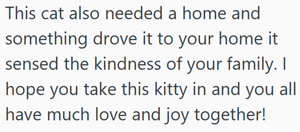 This cat also needed a home and something drove it to your home it sensed the kindness of your family. I hope you take this kitty in and you all have much love and joy together!