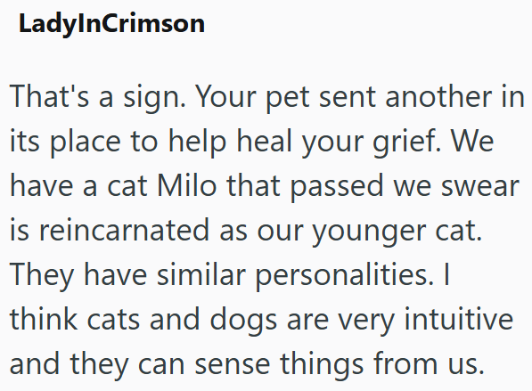 LadylnCrimson That's a sign. Your pet sent another in its place to help heal your grief. We have a cat Milo that passed we swear is reincarnated as our younger cat. They have similar personalities. I think cats and dogs are very intuitive and they can sense things from us.
