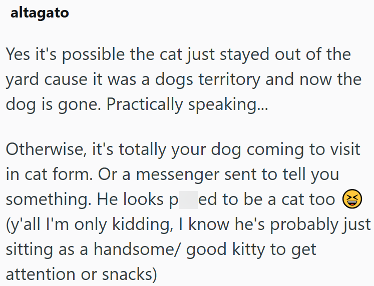 altagato Yes it's possible the cat just stayed out of the yard cause it was a dogs territory and now the dog is gone. Practically speaking... Otherwise, it's totally your dog coming to visit in cat form. Or a messenger sent to tell you something. He looks pred to be a cat to:D:D:D:D:②::: (y'all I'm only kidding, I know he's probably just sitting as a handsome/ good kitty to get attention or snacks)