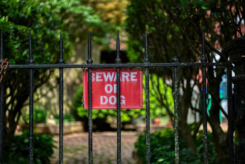 BEWARE OI DOG