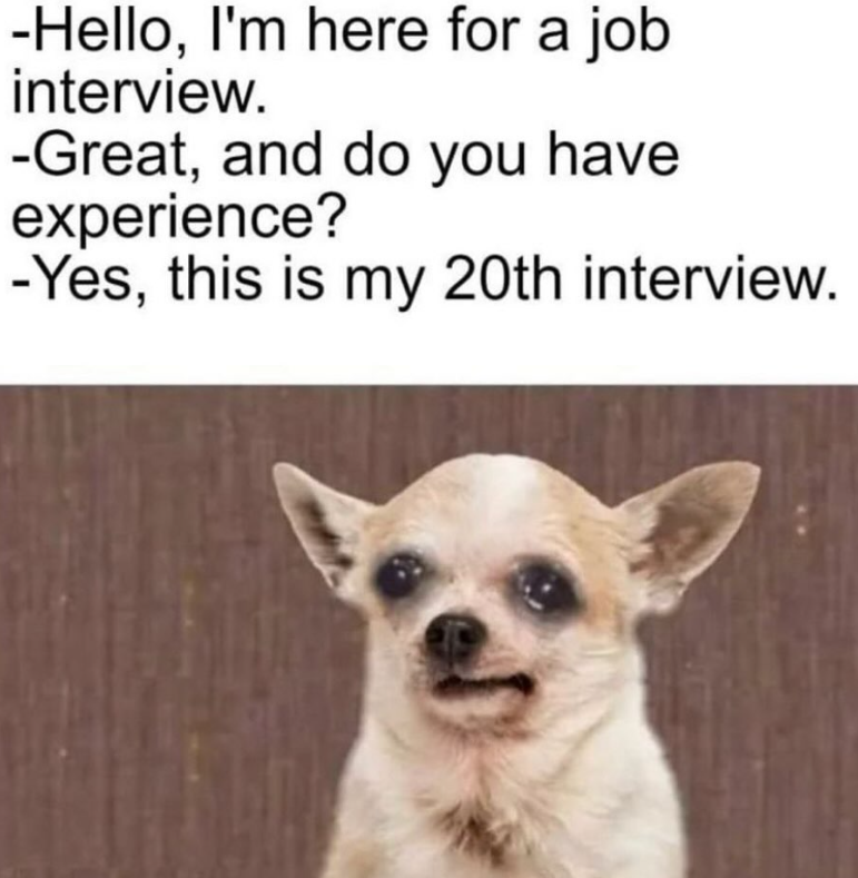-Hello, I'm here for a job interview. -Great, and do you have experience? -Yes, this is my 20th interview.