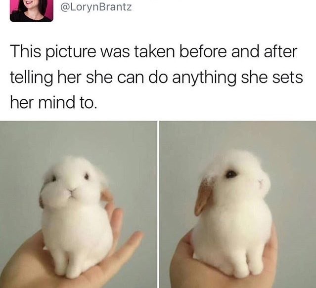 @LorynBrantz This picture was taken before and after telling her she can do anything she sets her mind to.