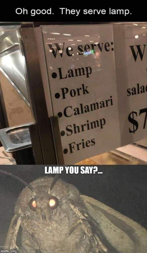 imgflip.com Oh good. They serve lamp. We serve: •Lamp W Pork Calamari sala Shrimp Fries LAMP YOU SAY?.. $7