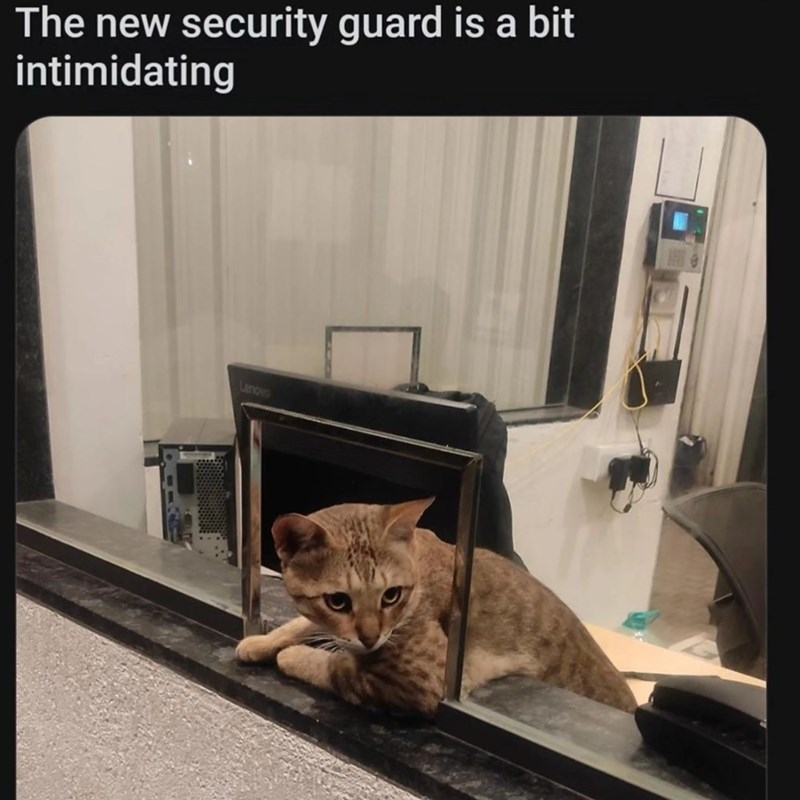 The new security guard is a bit intimidating Lenovo