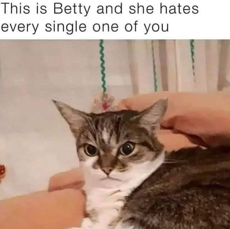 This is Betty and she hates every single one of you