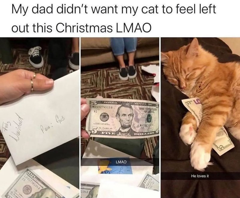 My dad didn't want my cat to feel left out this Christmas LMAO Gipt Navidad Para: Guib 673 A C3 MA592745158 THE CRO OF SC A1 EXONE 10% A MA5527-55 FIVE DOLLARS LMAO 10X0 He loves it