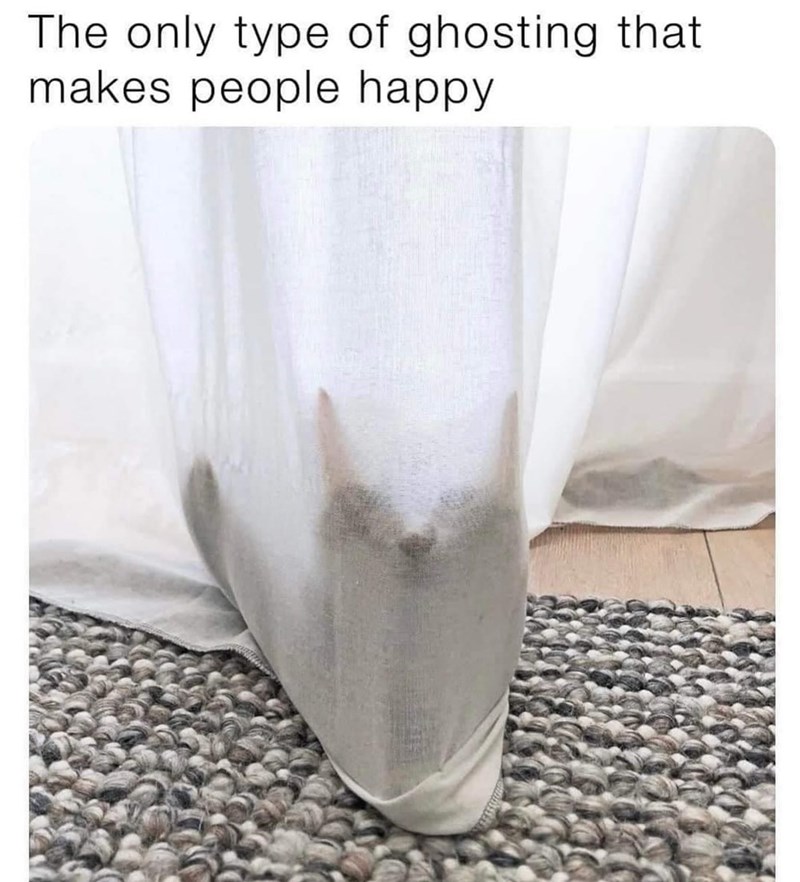 The only type of ghosting that makes people happy