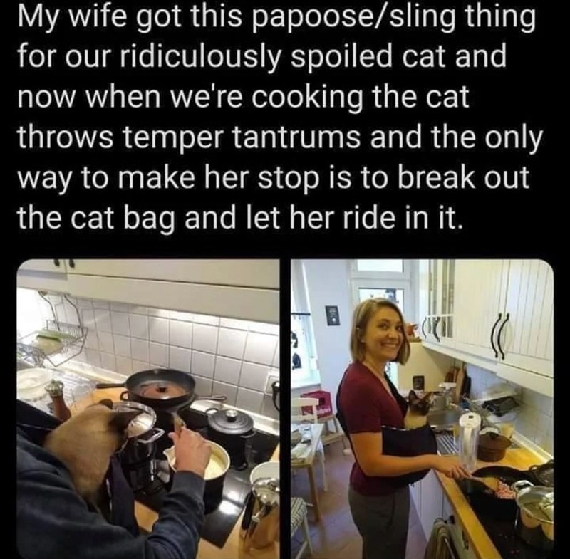 My wife got this papoose/sling thing for our ridiculously spoiled cat and now when we're cooking the cat throws temper tantrums and the only way to make her stop is to break out the cat bag and let her ride in it.