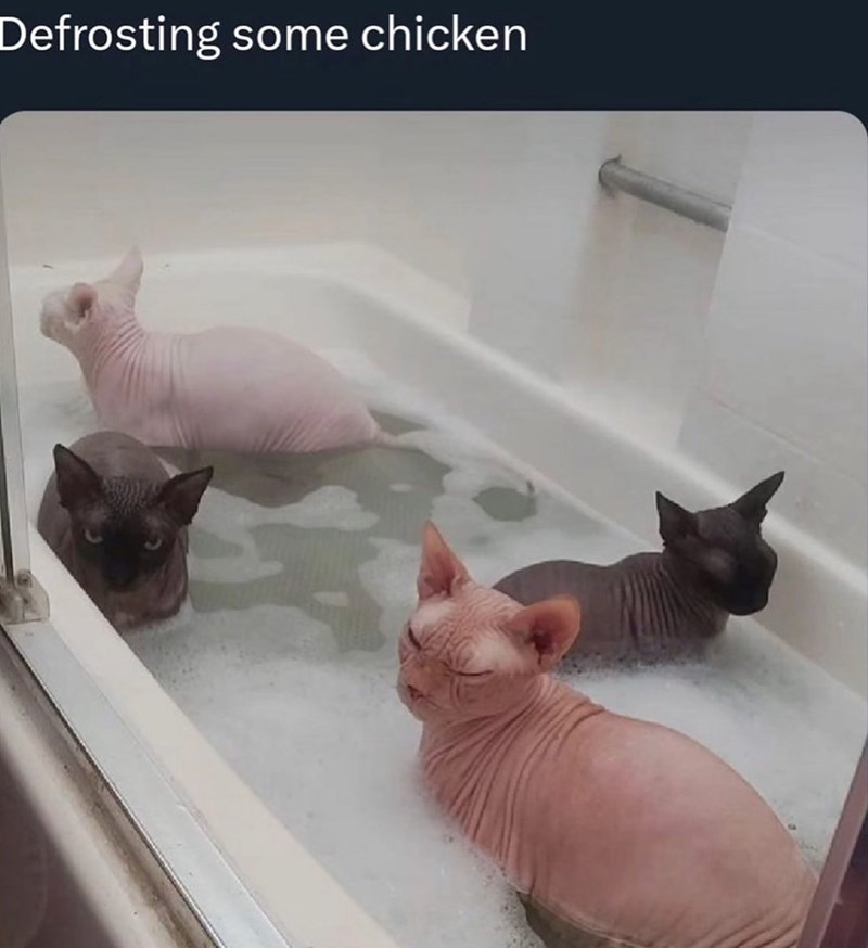Defrosting some chicken