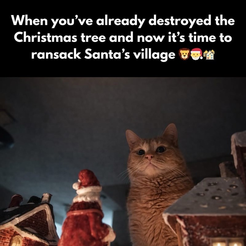 When you've already destroyed the Christmas tree and now it's time to ransack Santa's village